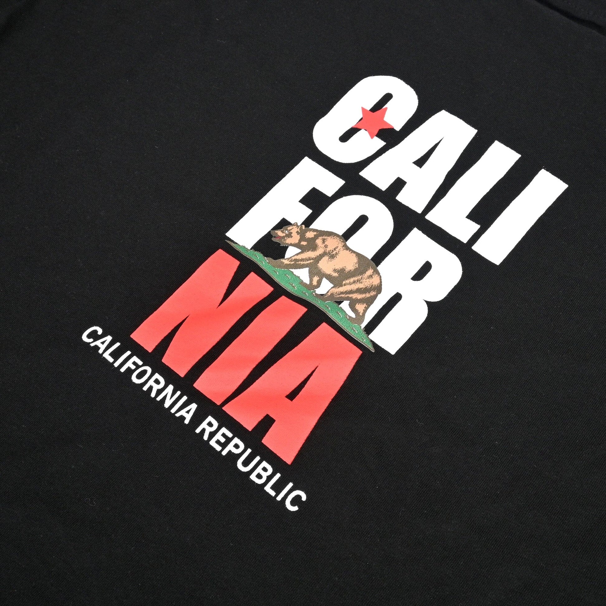 Polo Republica Men's Chill Nation Printed Crew Neck Tee Shirt Men's Tee Shirt Polo Republica